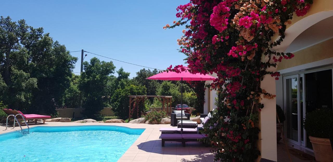 Cyrnea - Adults Only Bed & Breakfast