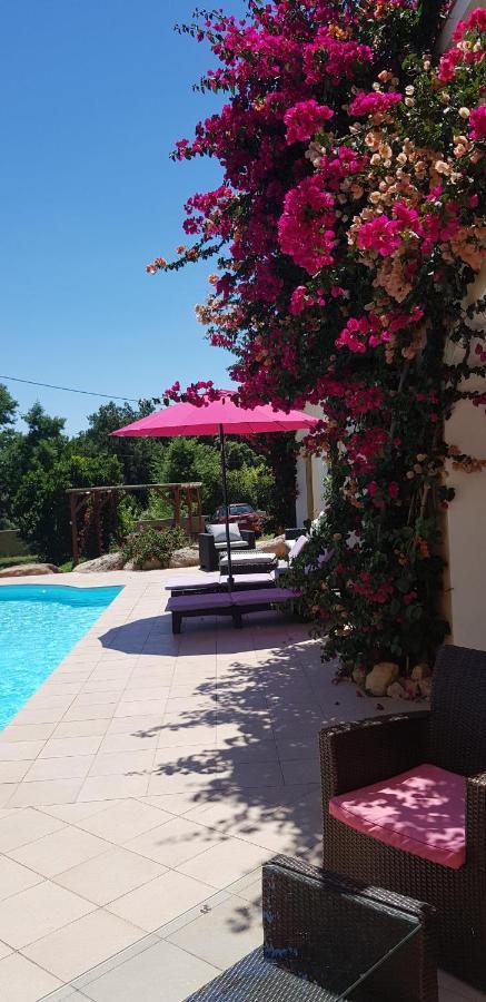 Couette-café Cyrnea - Adults Only